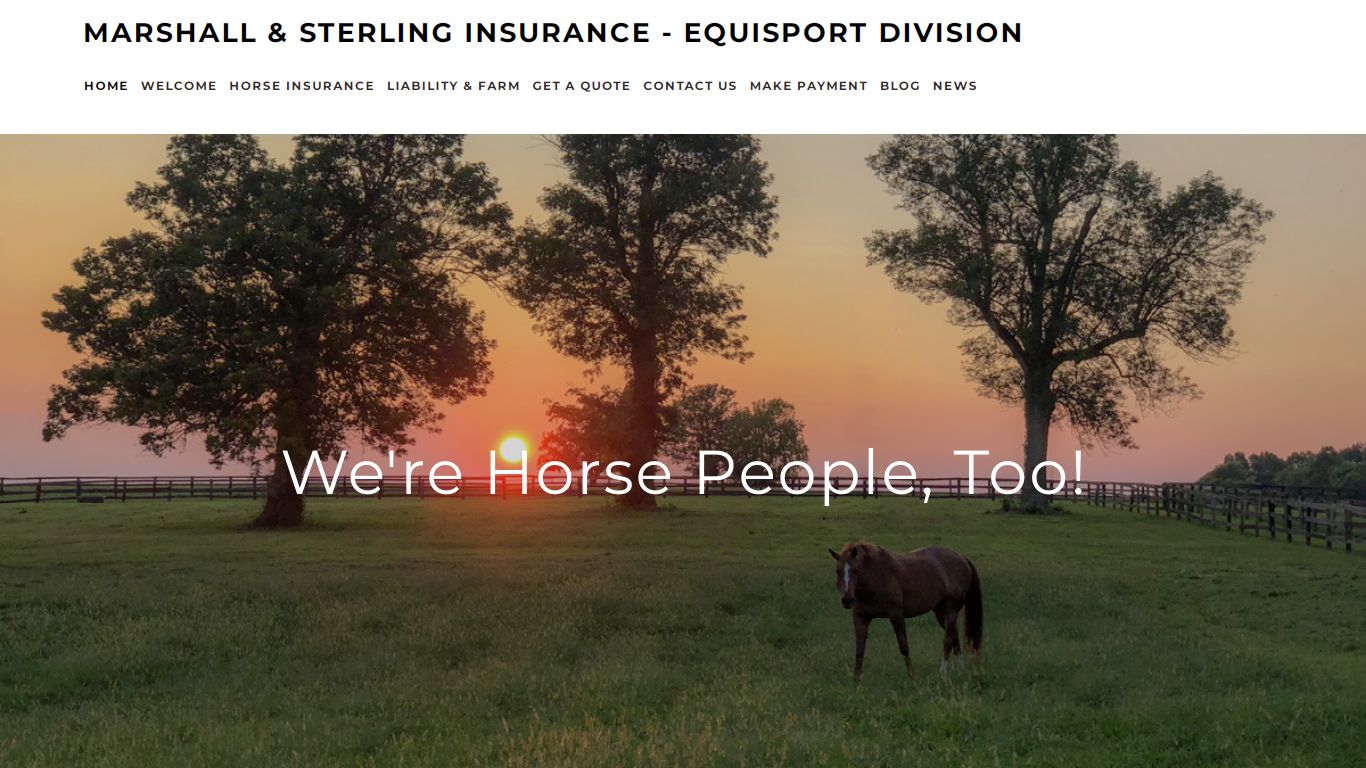Marshall & Sterling Insurance - Equisport Division | Horse Insurance ...